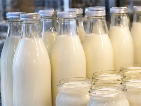 Milch in Glasflaschen